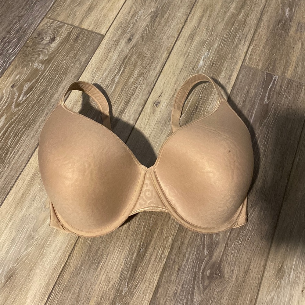 36 H bra